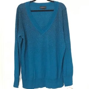 Blue Long Sleeved / V Neck Sweater
